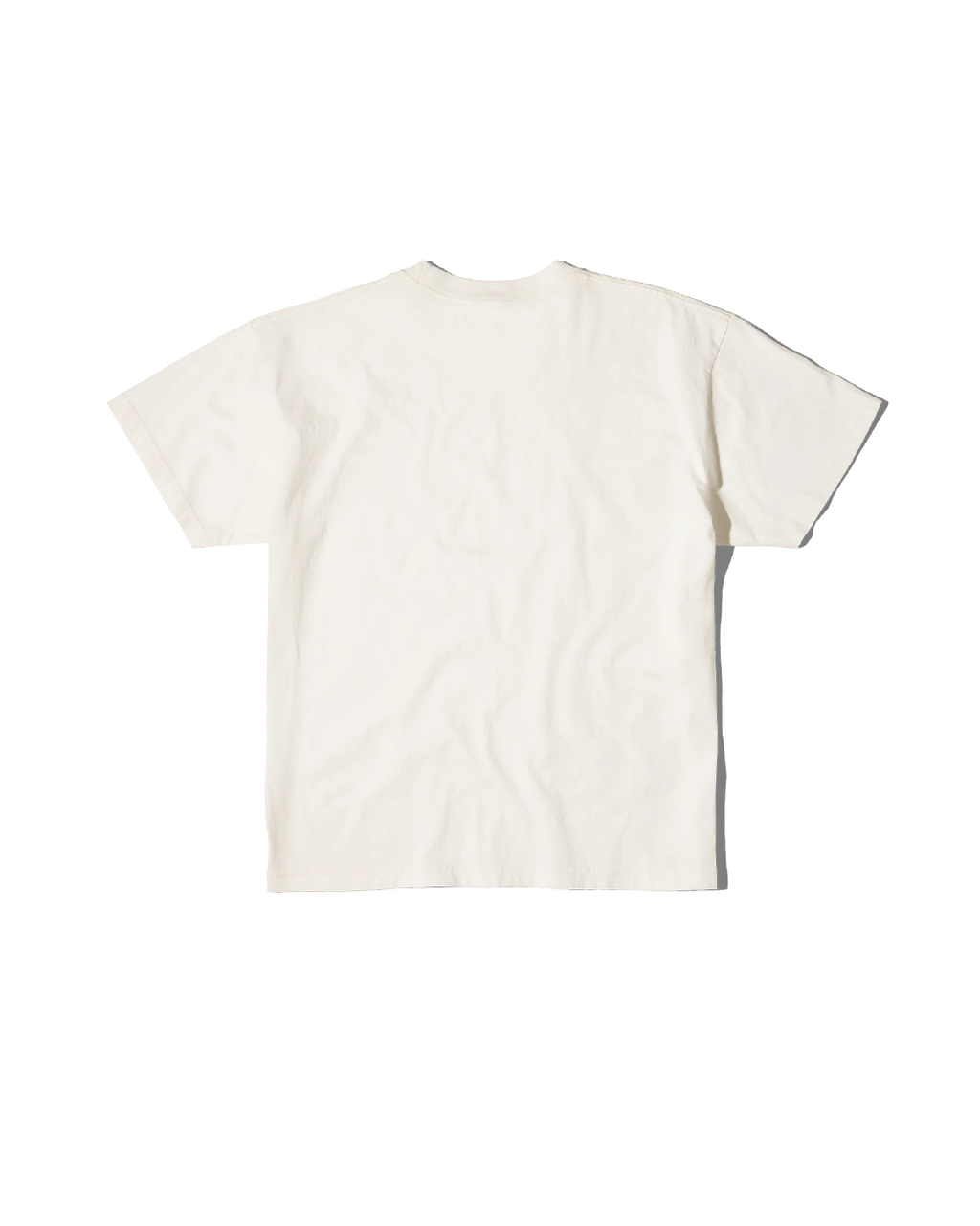Public School Honors Tee