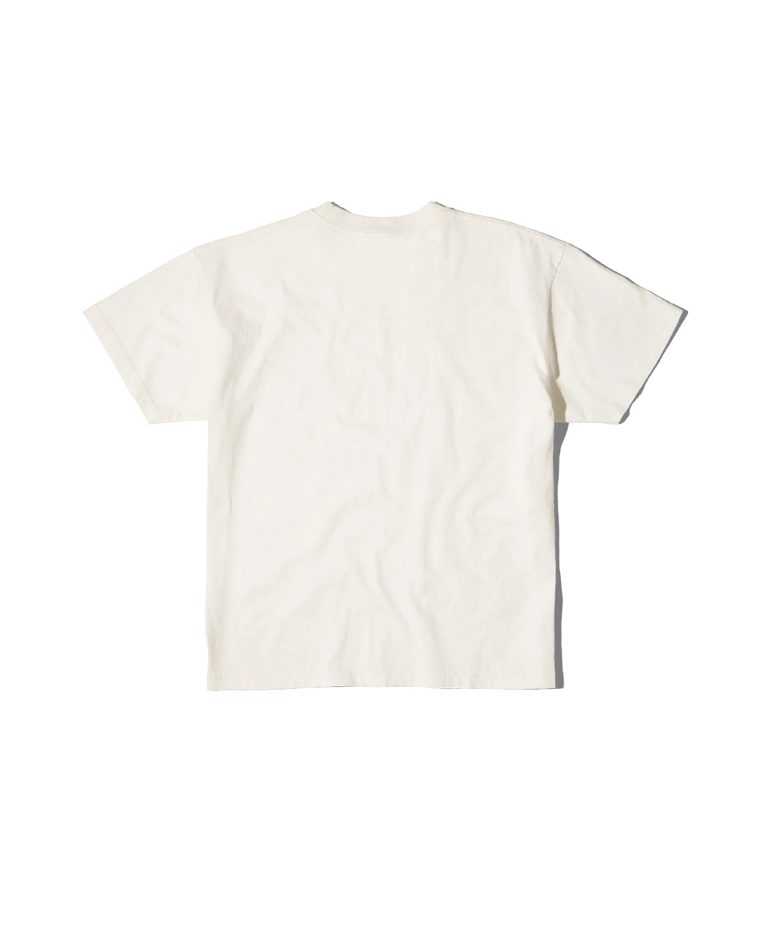 Public School Honors Tee